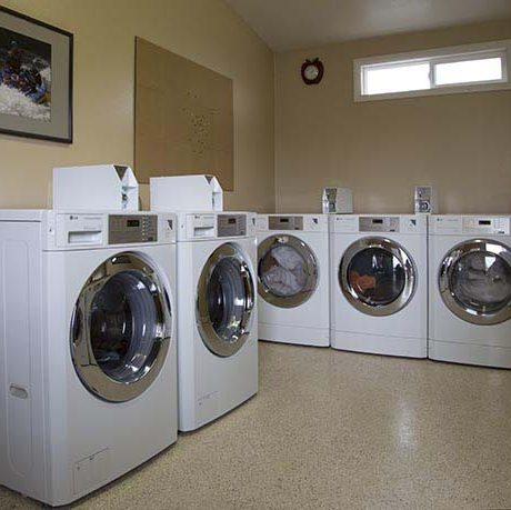 Washing machines in a laundry room