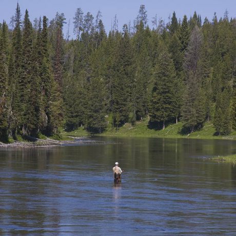 Man standing in a river and fishing