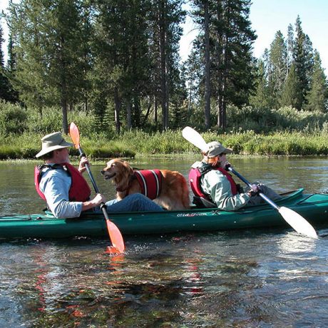 People paddling down the river with their dog