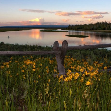 Vast landscape with body of water and forest